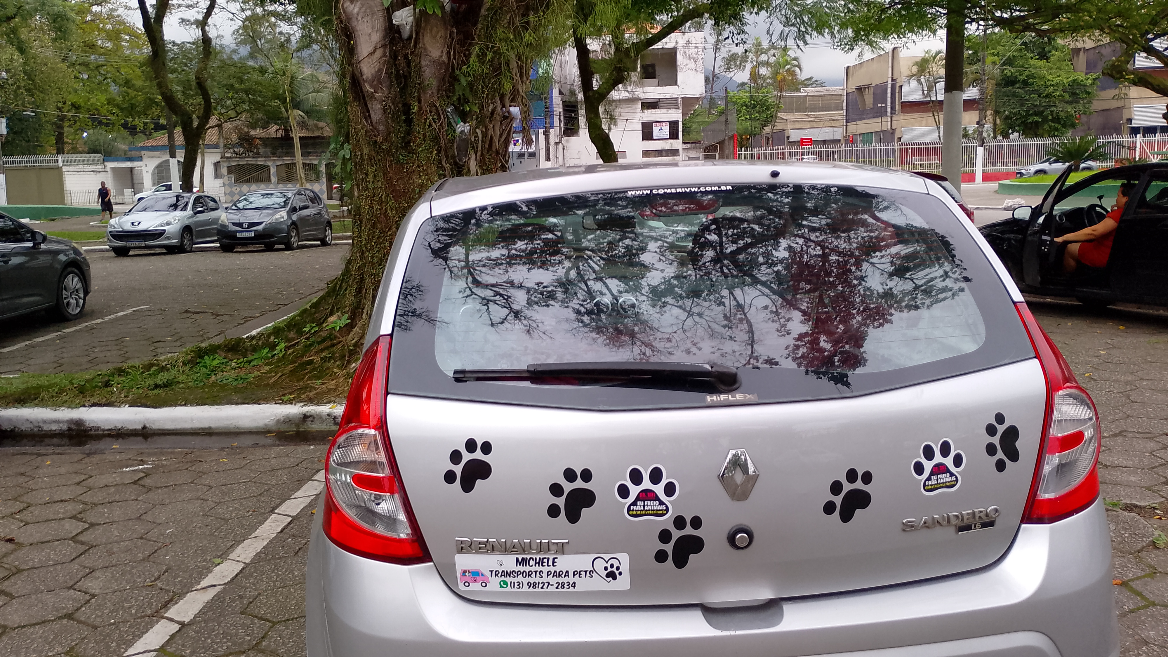 Carro do Táxi Dog